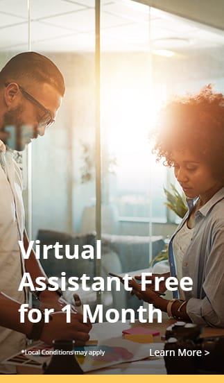 AD3_Virtual-Assistant-Free_323x552.jpg