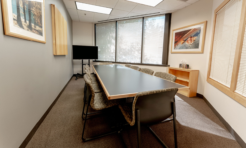 Large Meeting Room (Avalanche)